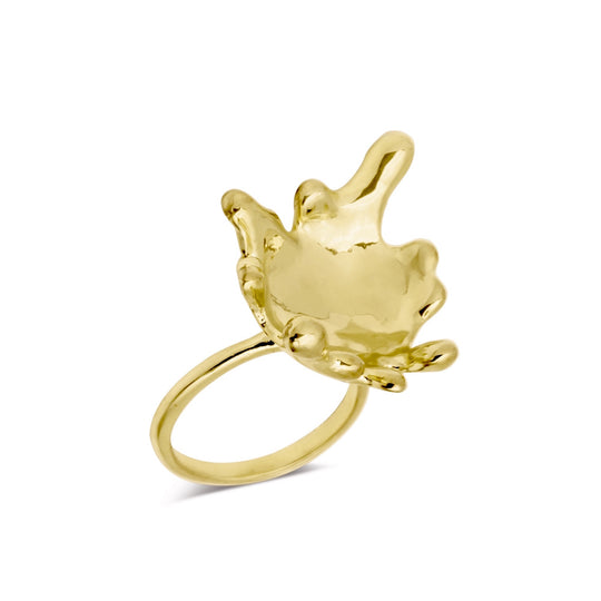 Splash Ring